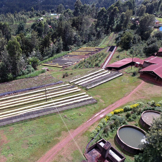 Kenya - Kibugu